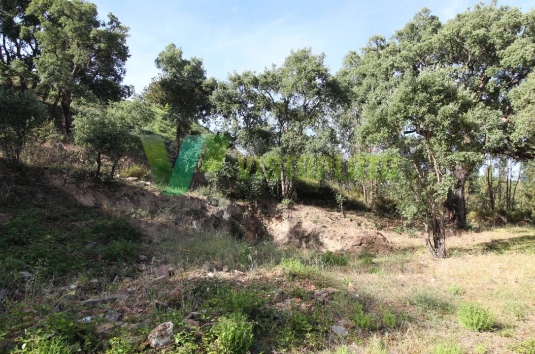 Terreno Misto para Venda em Marmelete Foto 2