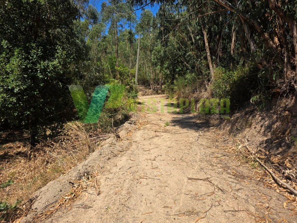 Terreno Misto para Venda em Marmelete Foto 4
