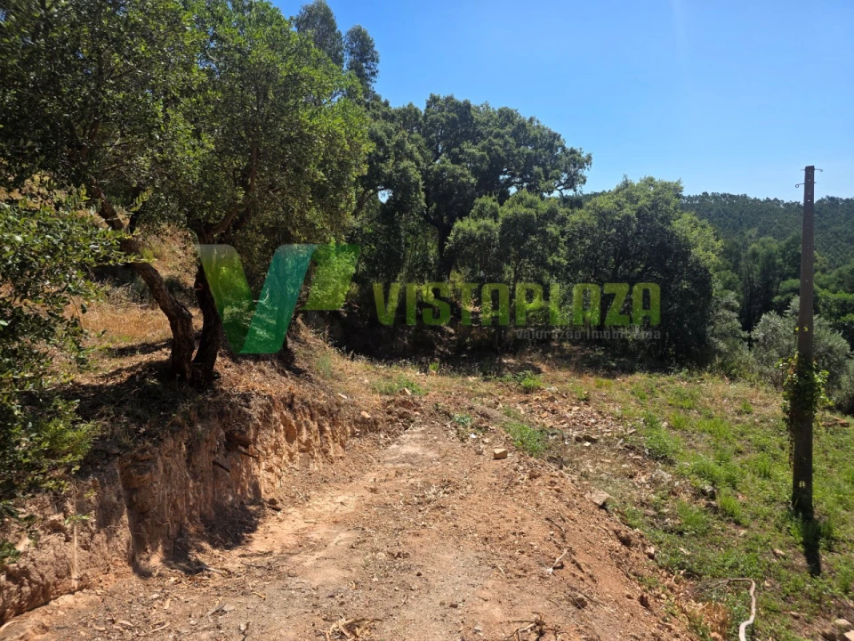 Terreno Misto para Venda em Marmelete Foto 1