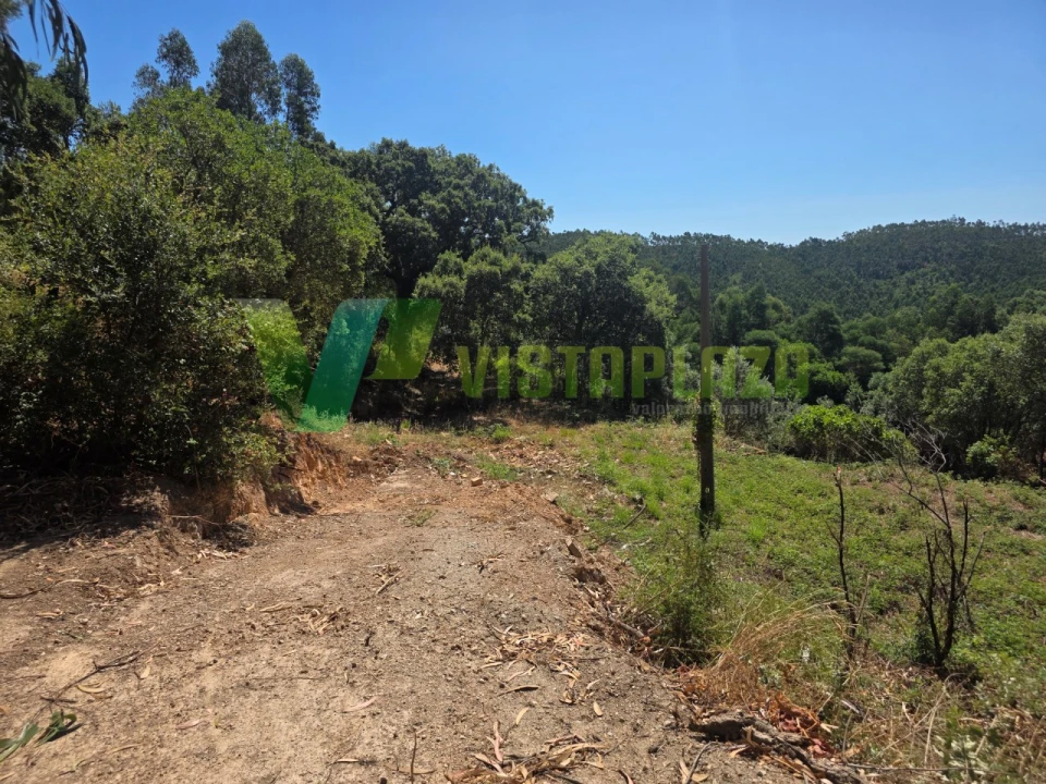 Terreno Misto para Venda em Marmelete Foto 16