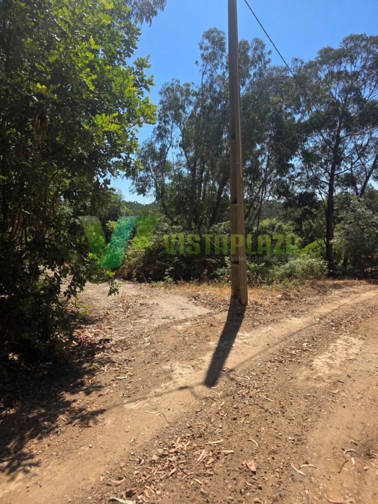 Terreno Misto para Venda em Marmelete Foto 2