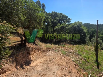 Terreno Misto para Venda em Marmelete