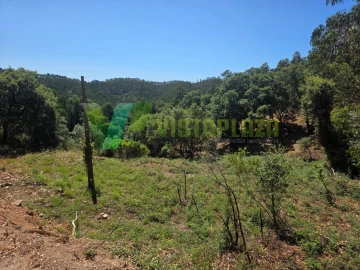 Terreno Misto para Venda em Marmelete