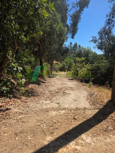 Terreno Misto para Venda em Marmelete