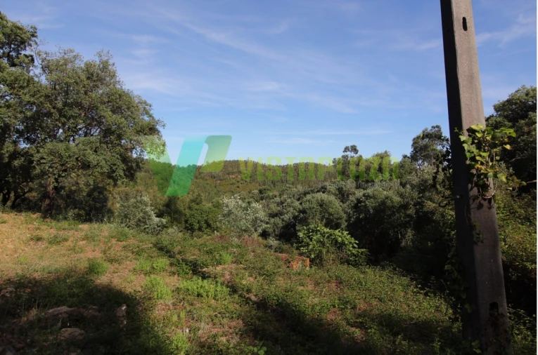 Terreno Misto para Venda em Marmelete Foto 7