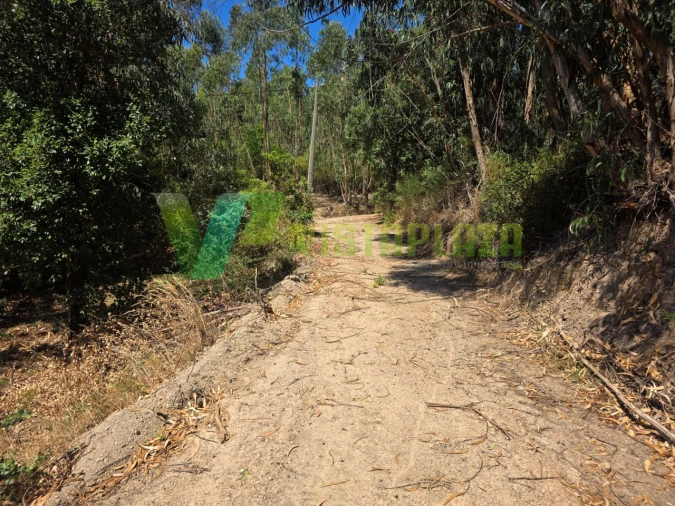 Terreno Misto para Venda em Marmelete Foto 4