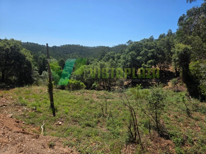 Terreno Misto para Venda em Marmelete Foto 15
