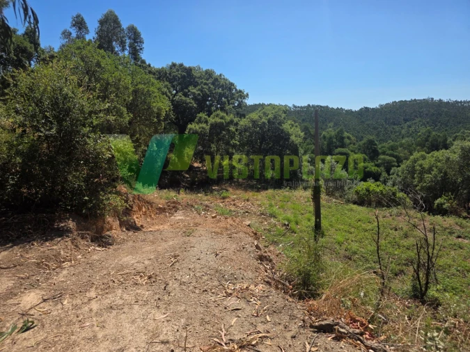 Terreno Misto para Venda em Marmelete Foto 16