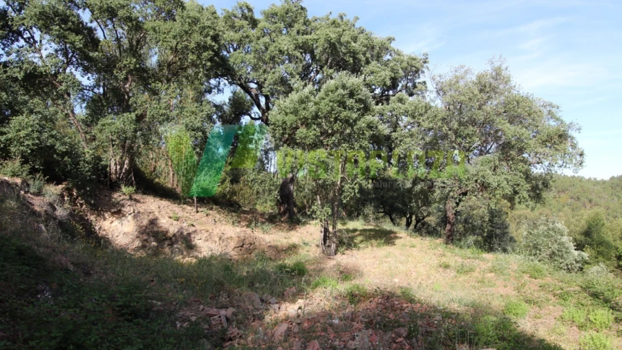 Terreno Misto para Venda em Marmelete