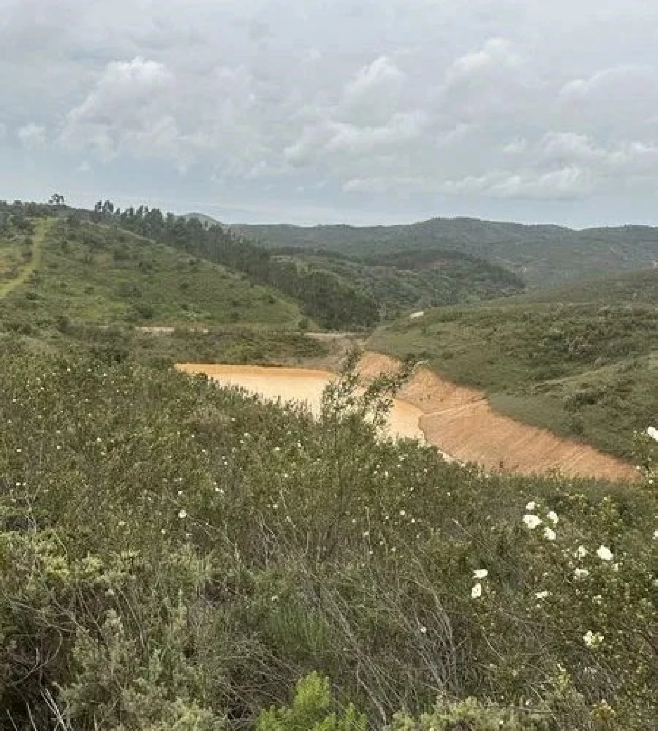 Terreno Agricola ou Rústico para Venda em São Marcos da Serra Foto 15