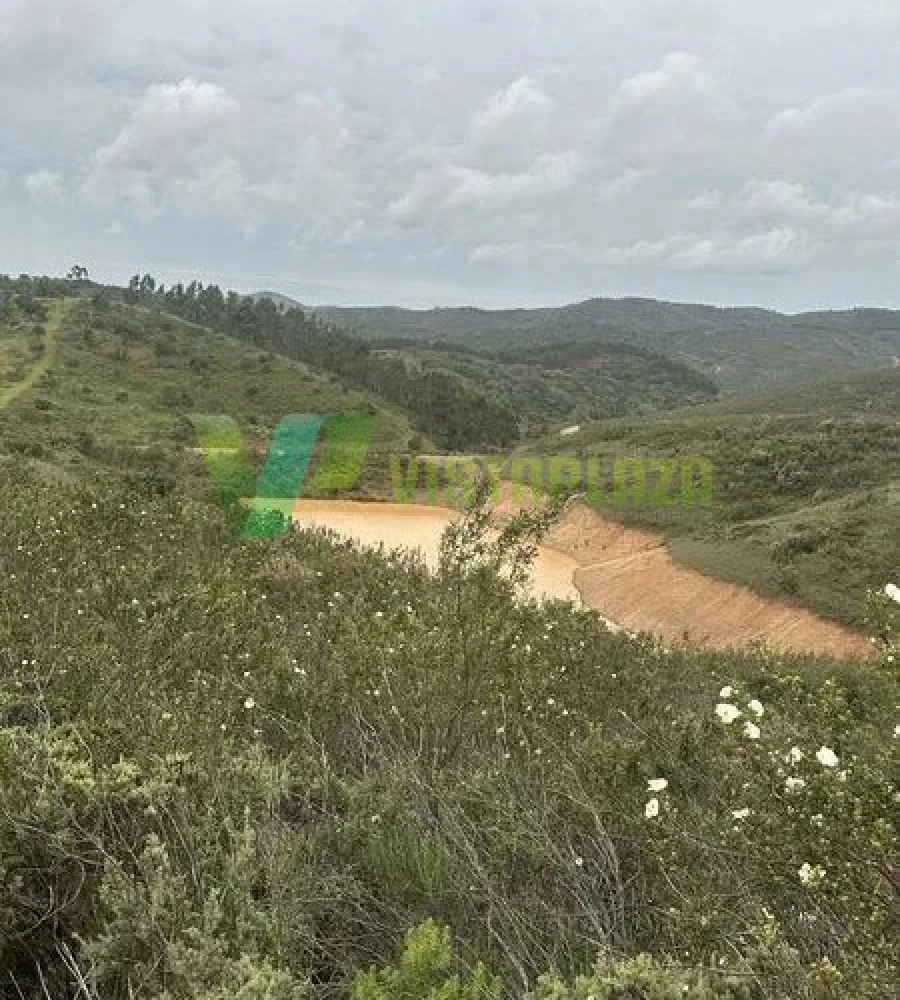 Terreno Agricola ou Rústico para Venda em São Marcos da Serra Foto 22