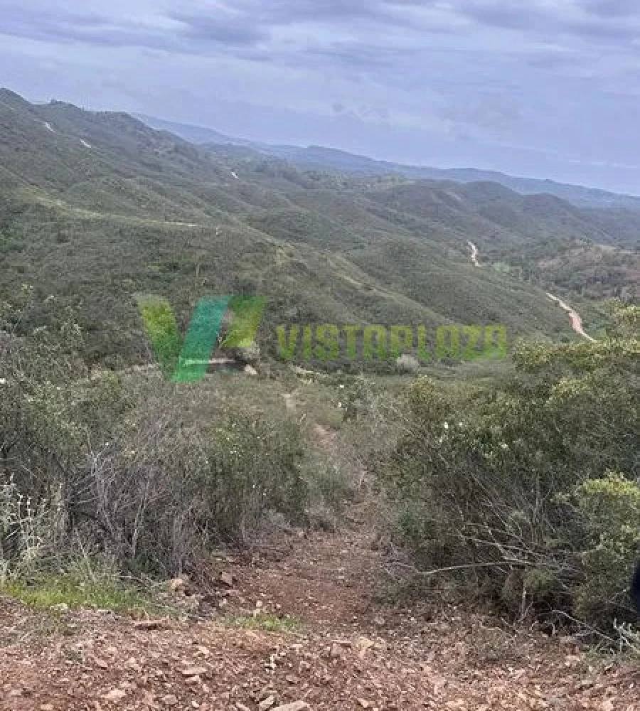 Terreno Agricola ou Rústico para Venda em São Marcos da Serra Foto 24