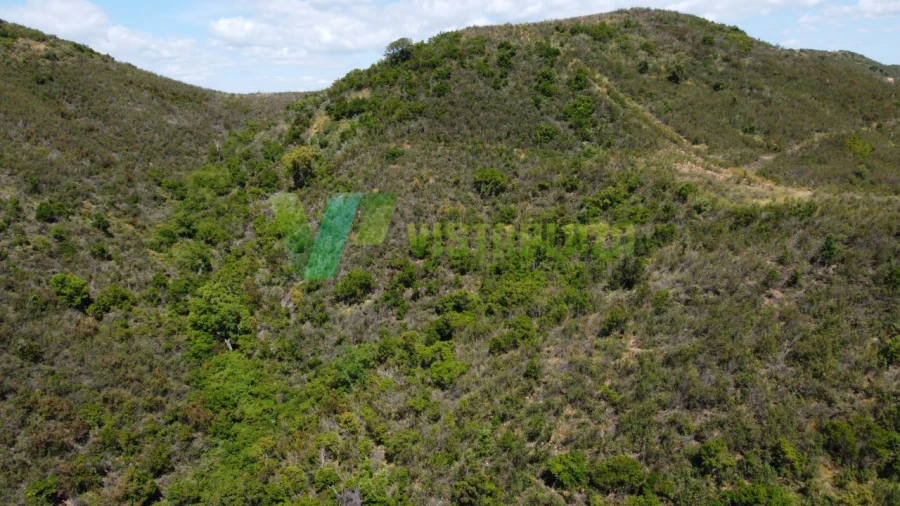 Terreno Agricola ou Rústico para Venda em São Marcos da Serra Foto 10