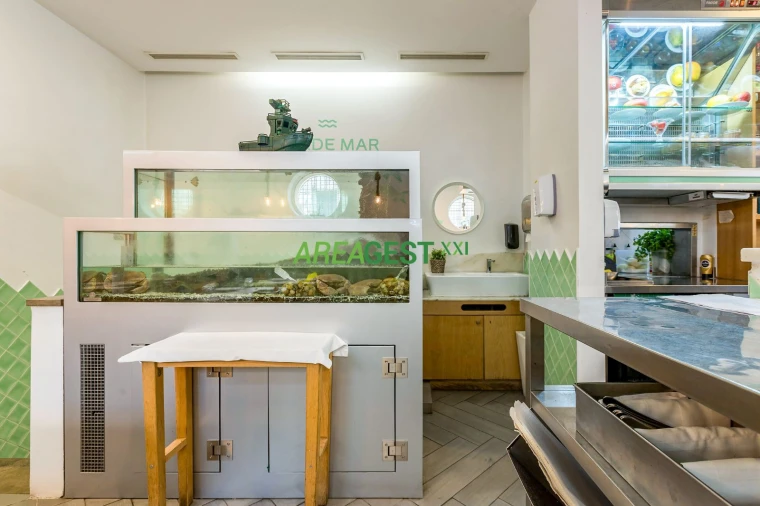 Negócio para Venda em Lumiar Foto 8