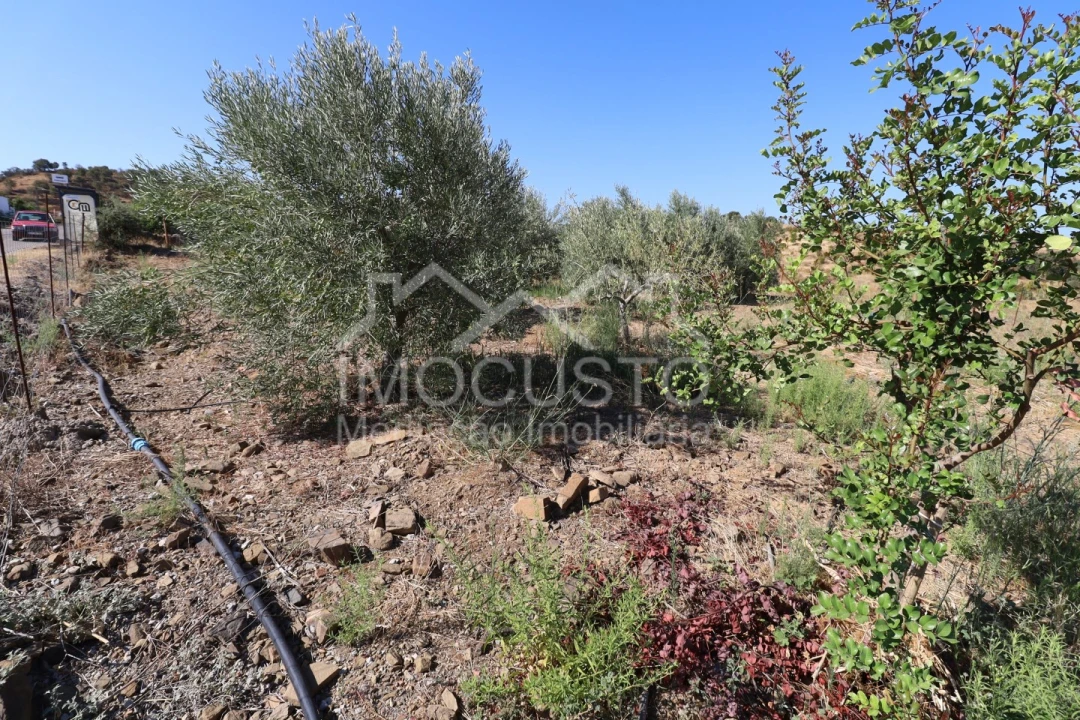 Terreno Agricola ou Rústico para Venda em Odeleite Foto 6