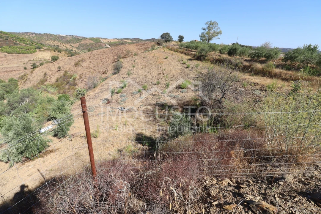 Terreno Agricola ou Rústico para Venda em Odeleite Foto 9