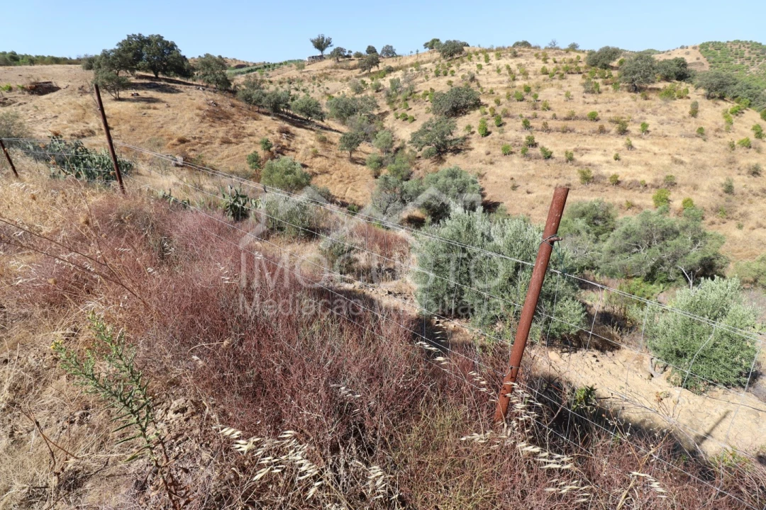Terreno Agricola ou Rústico para Venda em Odeleite Foto 10