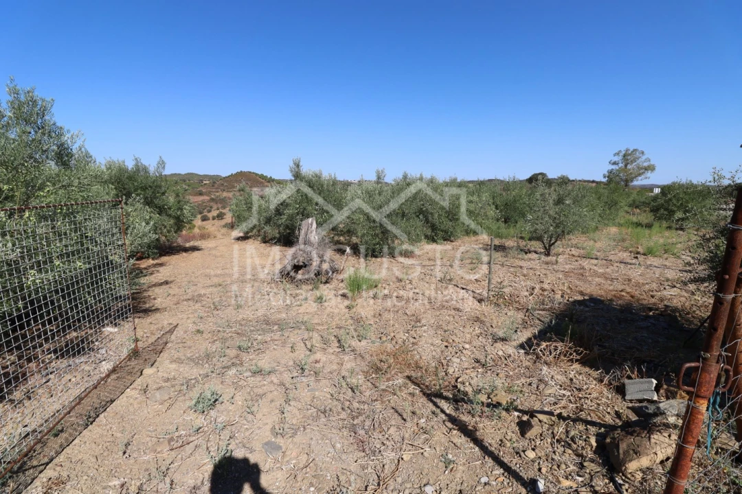 Terreno Agricola ou Rústico para Venda em Odeleite Foto 1