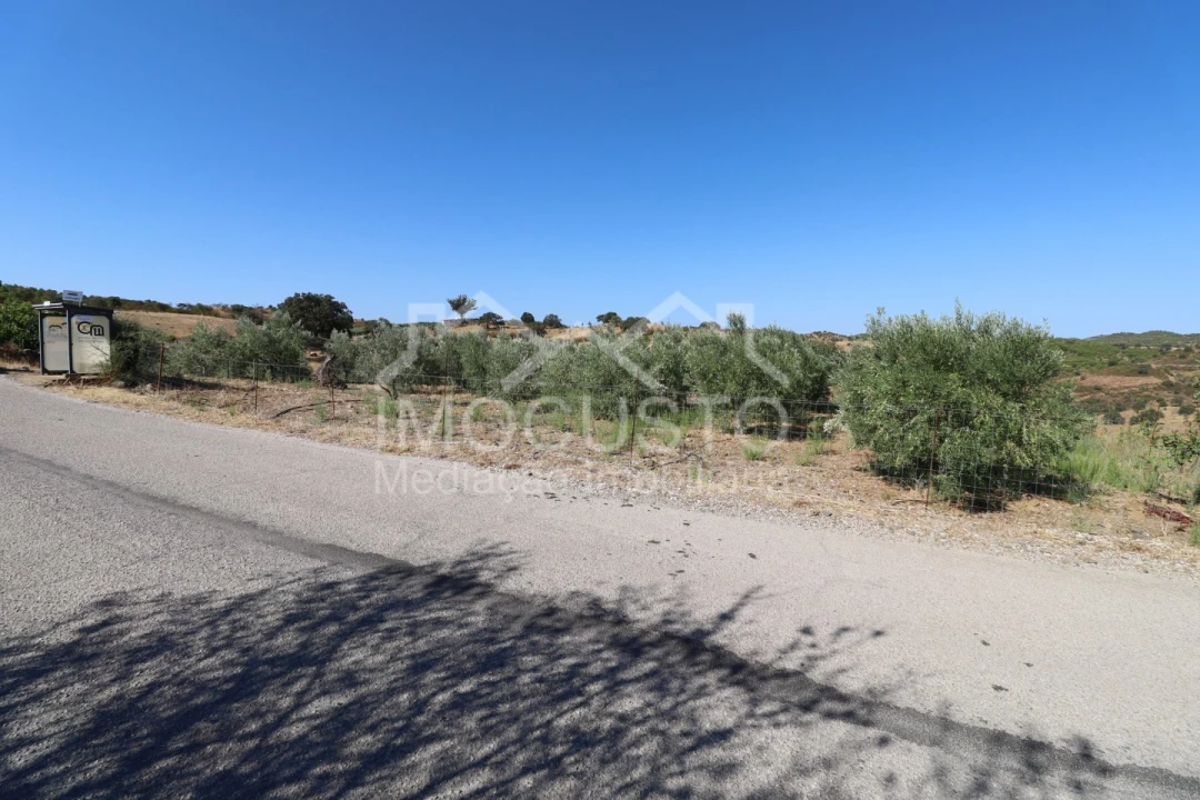 Terreno Agricola ou Rústico para Venda em Odeleite Foto 15