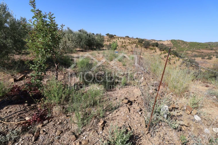 Terreno Agricola ou Rústico para Venda em Odeleite Foto 4
