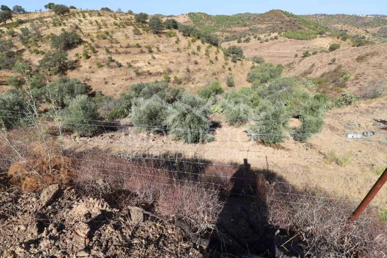 Terreno Agricola ou Rústico para Venda em Odeleite Foto 8