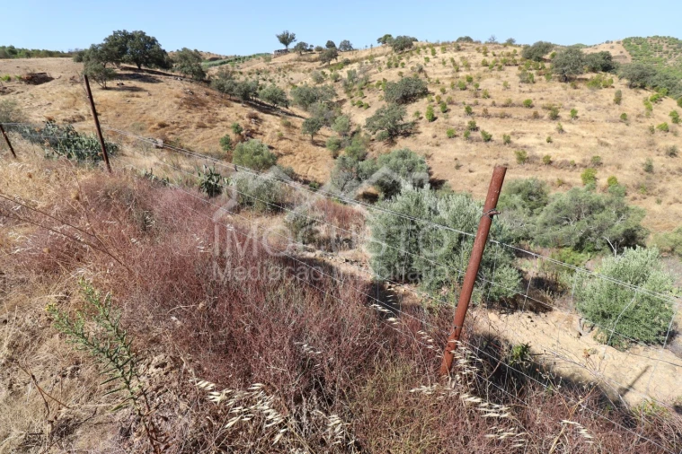 Terreno Agricola ou Rústico para Venda em Odeleite Foto 10