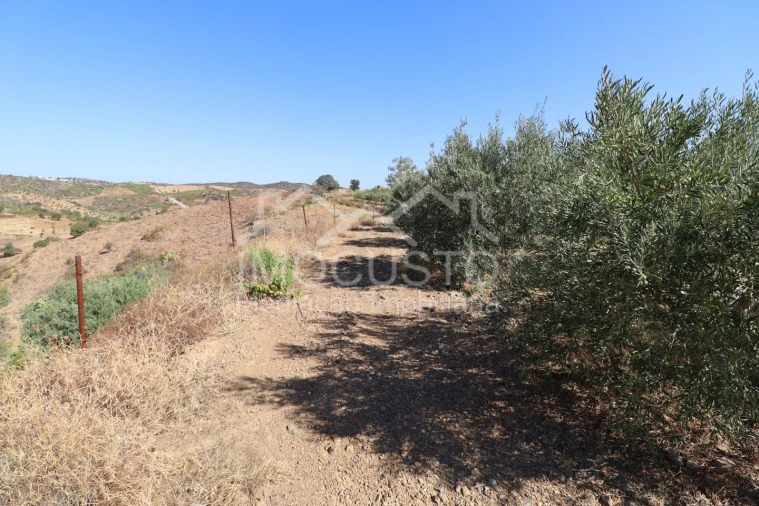 Terreno Agricola ou Rústico para Venda em Odeleite Foto 11