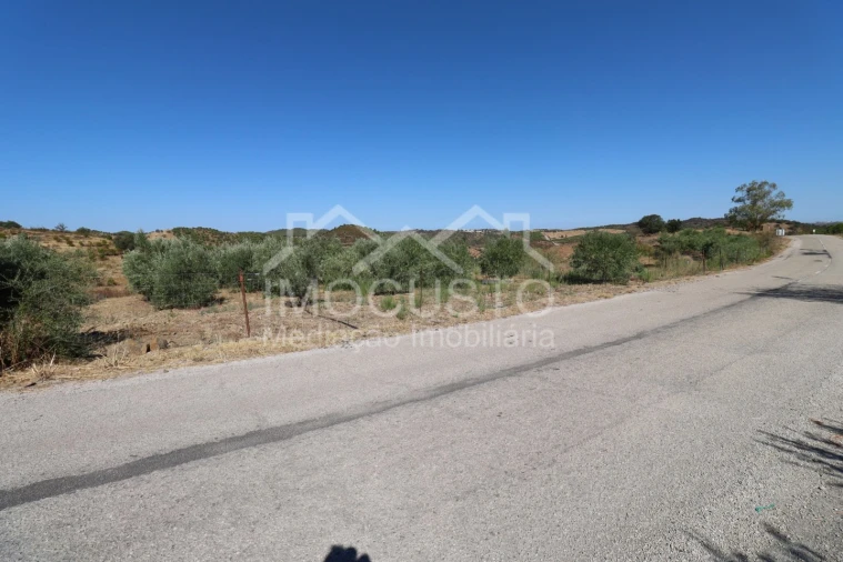 Terreno Agricola ou Rústico para Venda em Odeleite Foto 12
