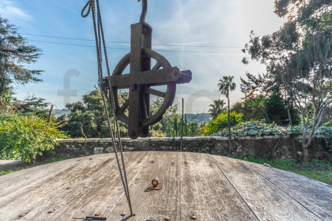 Quinta T10 para Venda em Barcarena Foto 36