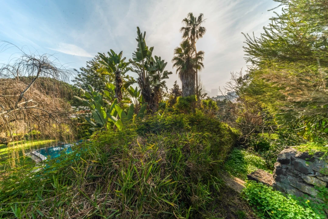 Quinta T10 para Venda em Barcarena Foto 52