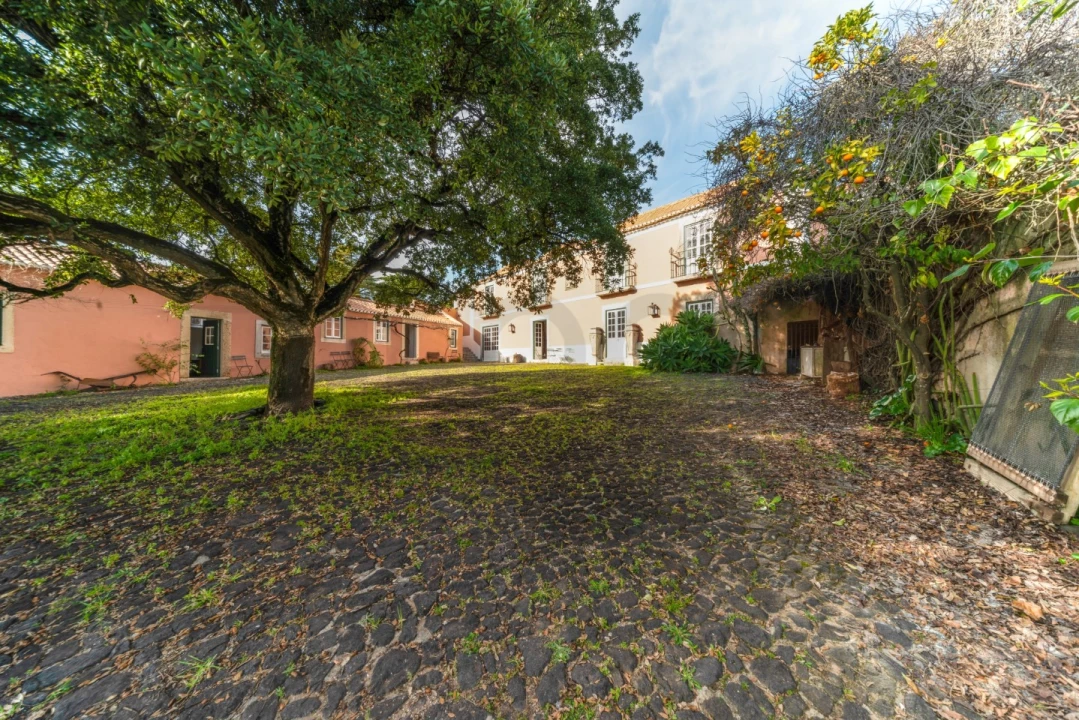 Quinta T10 para Venda em Barcarena Foto 56