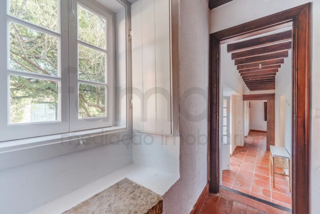 Quinta T10 para Venda em Barcarena Foto 58