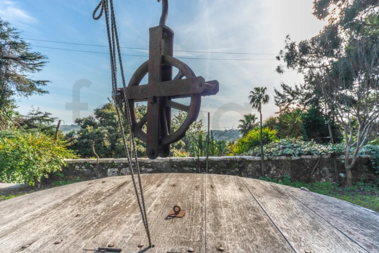 Quinta T10 para Venda em Barcarena Foto 36