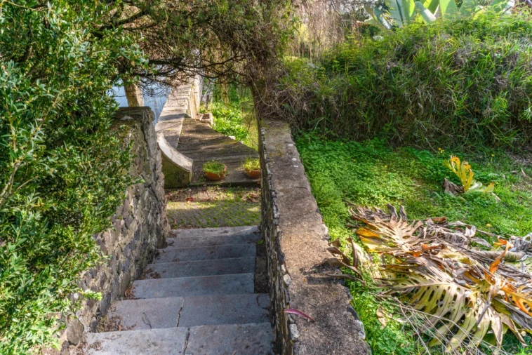 Quinta T10 para Venda em Barcarena Foto 43