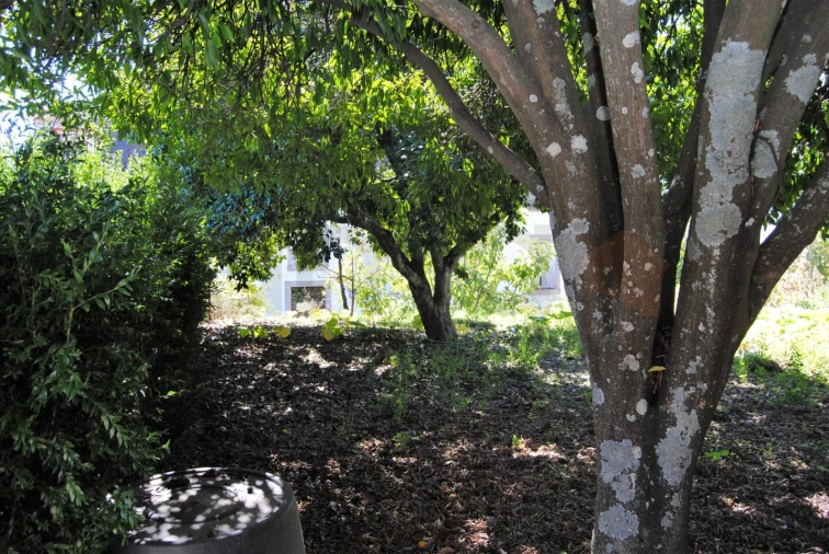 Moradia T20 para Venda em Tortosendo Foto 16