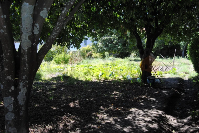 Moradia T20 para Venda em Tortosendo Foto 17