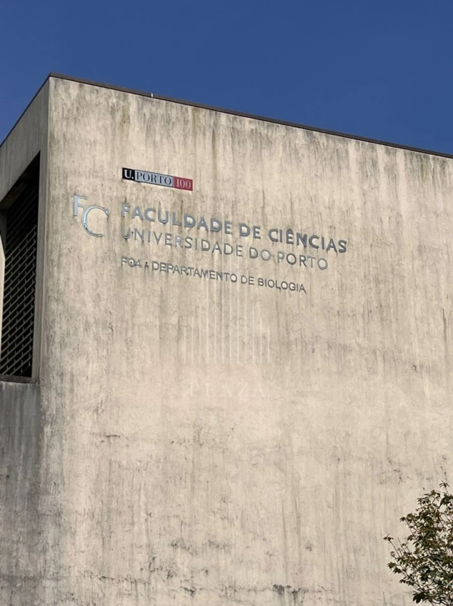 Prédio para Venda em Lordelo do Ouro e Massarelos Foto 4