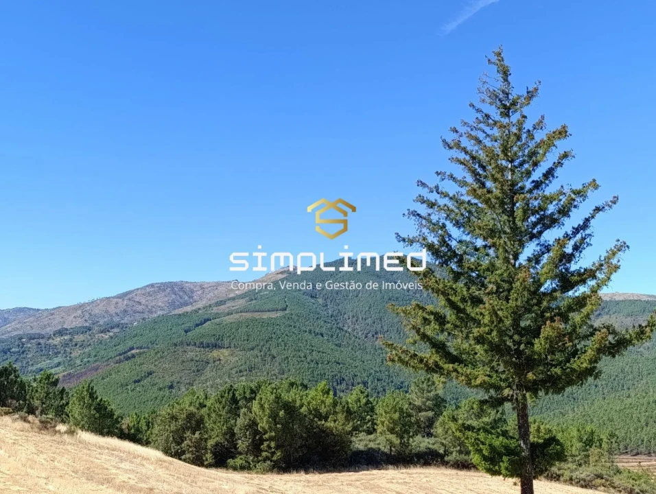 Quinta T0 para Venda em Orjais Foto 17