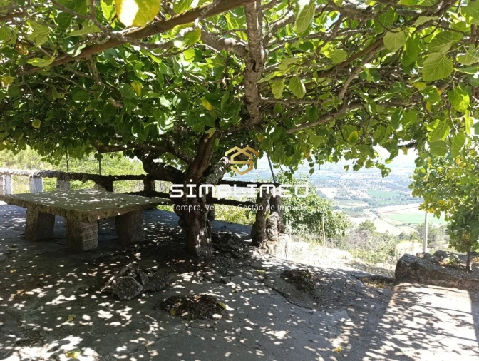 Quinta T2 para Venda em Orjais Foto 2