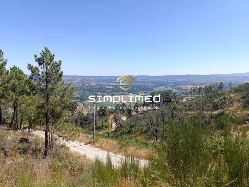 Quinta T2 para Venda em Orjais Foto 49