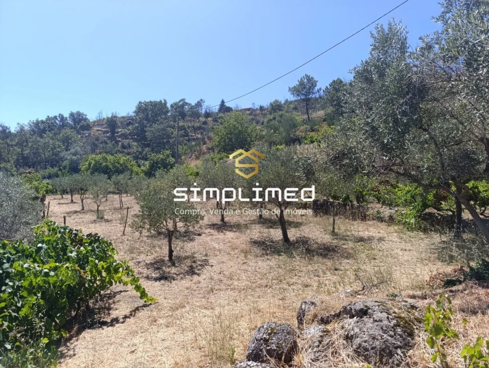 Quinta T2 para Venda em Orjais Foto 43