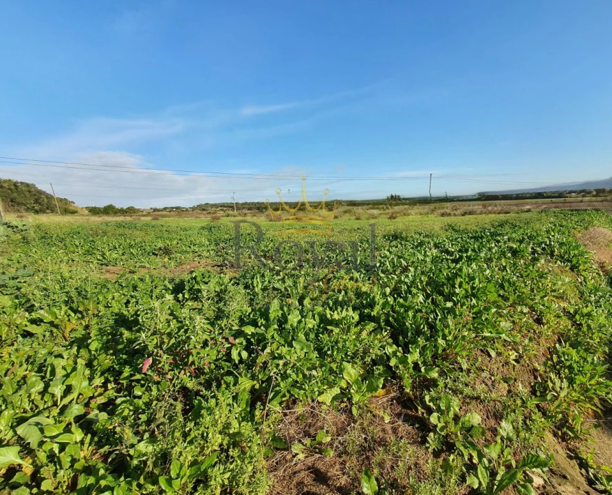 Terreno para Venda em Caldas da Rainha - Santo Onofre e Serra do Bouro Foto 2