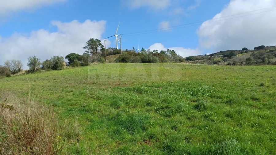 Terreno para Venda em Sapataria Foto 2