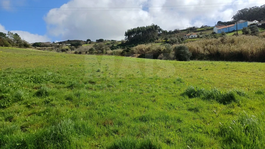 Terreno para Venda em Sapataria Foto 3