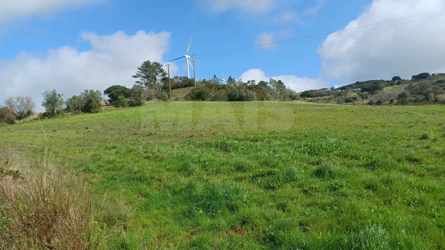 Terreno para Venda em Sapataria