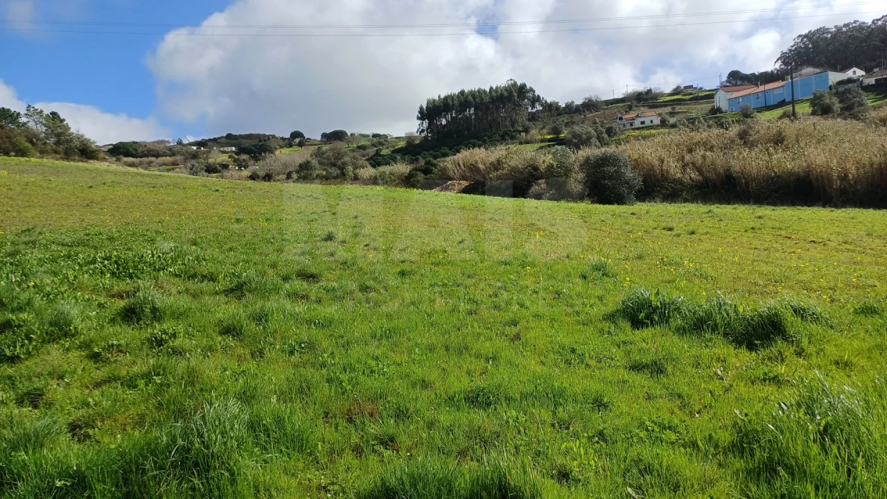 Terreno para Venda em Sapataria Foto 3