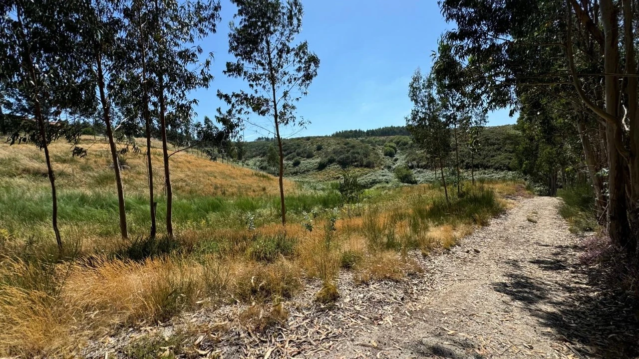 Terreno Agricola ou Rústico para Venda em Ribas Foto 6