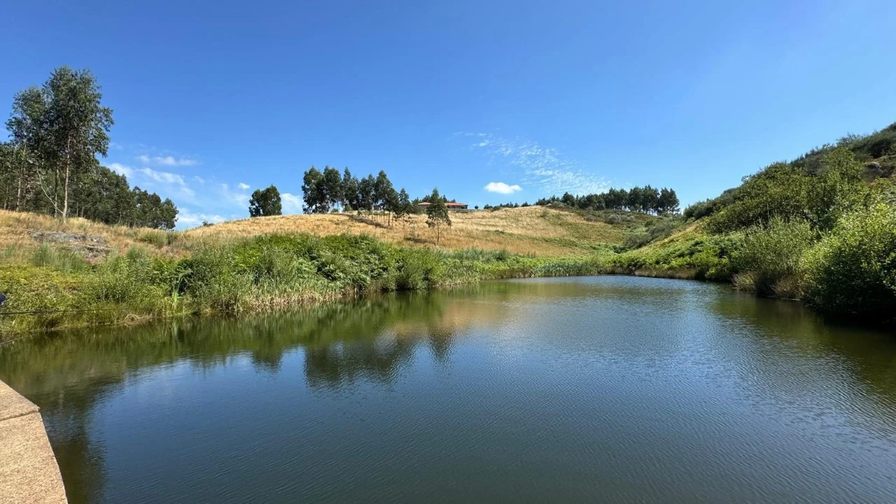 Terreno Agricola ou Rústico para Venda em Ribas Foto 10