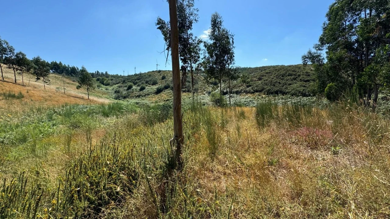 Terreno Agricola ou Rústico para Venda em Ribas Foto 12