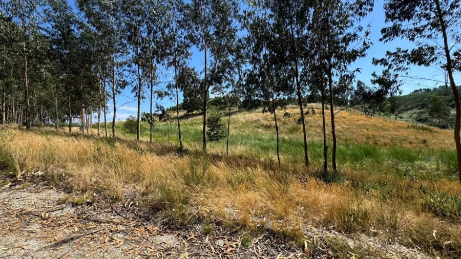 Terreno Agricola ou Rústico para Venda em Ribas Foto 7